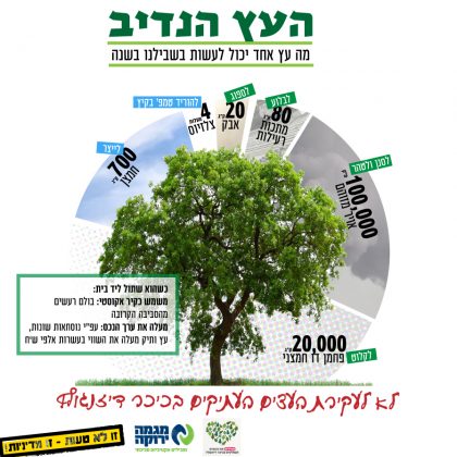 העץ הנדיב